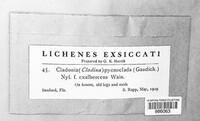 Image Associated With the Occurence